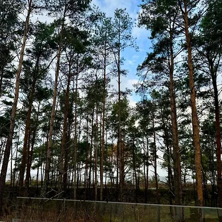 Wave Family E997 - & - Sea View Apartment *